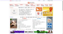 Desktop Screenshot of news.chinapet.net