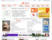 Tablet Screenshot of cpn.chinapet.net